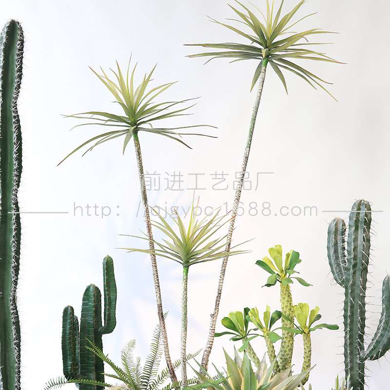 成套绿植设计师套装室内装饰楼梯下植物景观仙人掌造景绿植组合