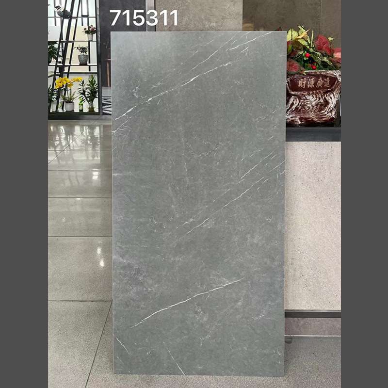 仿古砖 客厅瓷砖750x1500卫生间地砖哑光灰色微水泥地板砖7501500