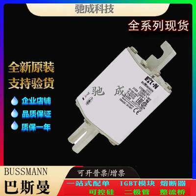 巴斯曼170M4189 170M4190 170M4191 大量现货批零兼营 快熔保险丝