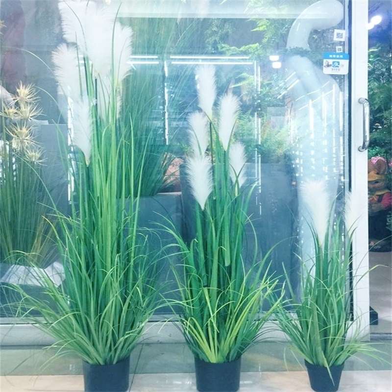 工厂店景观摆件盆栽 洋葱草花艺植物酒店家居芦苇草盆装饰酒店