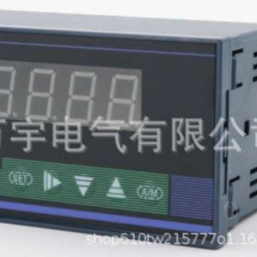 SLRB221717124PAH 智能双回路控制仪 规格型号齐全