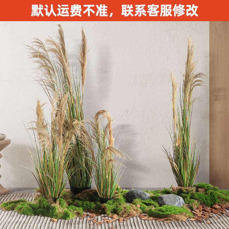 网红餐厅舞台景观绿植造景咖啡厅装饰芦苇盆栽软装绿植大型花草