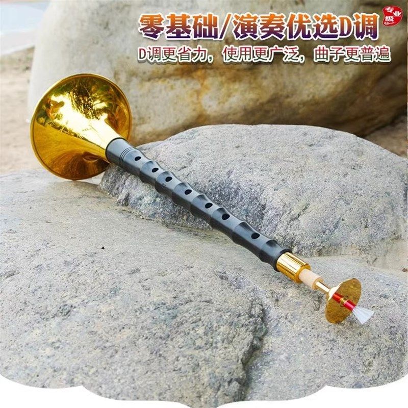 燕京唢呐乐器全套专业演奏级黑檀乌木降b调成人儿童通用镜面堂D调