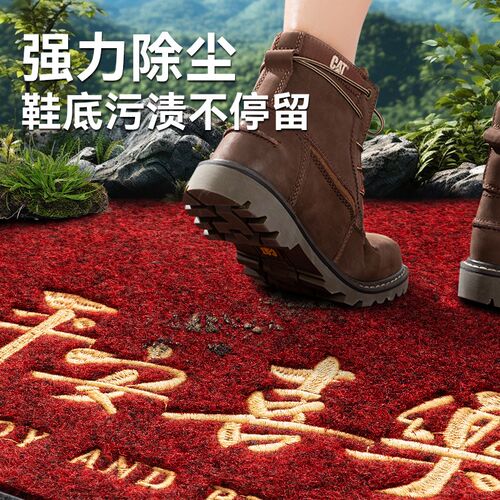 仿椰棕入户门地垫2025新款红色高级感进门除尘垫防滑门垫门外脚垫