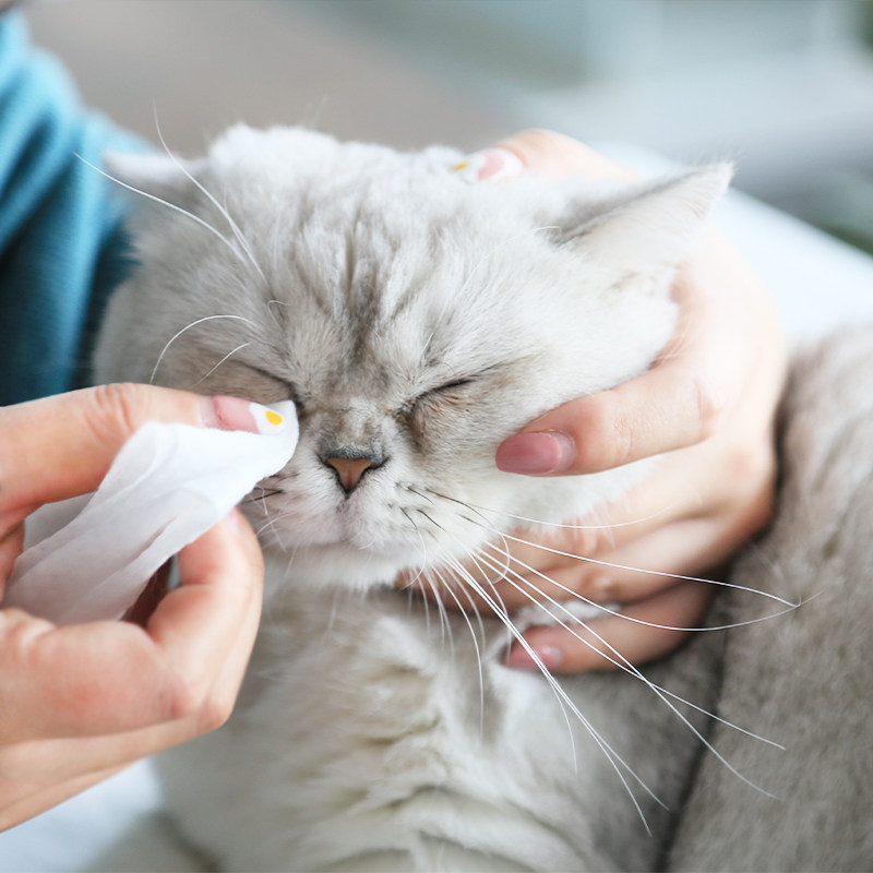 维克眼净猫眼药水宠物泪痕清洁洗眼睛消除眼屎狗狗猫咪用滴眼液