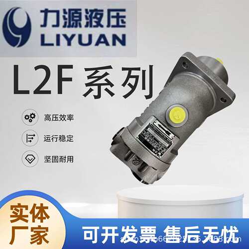 中航力源L2F10/12/23/28/45/55/63/80/107/125/160W2Z2斜轴式柱塞