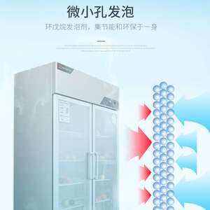金松洛德展示柜商用冰箱双门留样冷藏陈列柜二门三门点菜柜保鲜柜