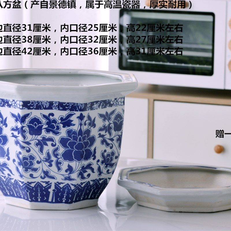 超大号青花瓷蝴蝶兰花盆多肉树盆带托盘大花缸室外大花盆大口径图片