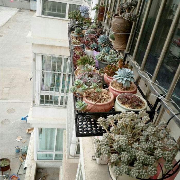 欧式包邮防盗窗阳台悬挂花架多层客厅防护栏挂式铁艺多肉花盆架子