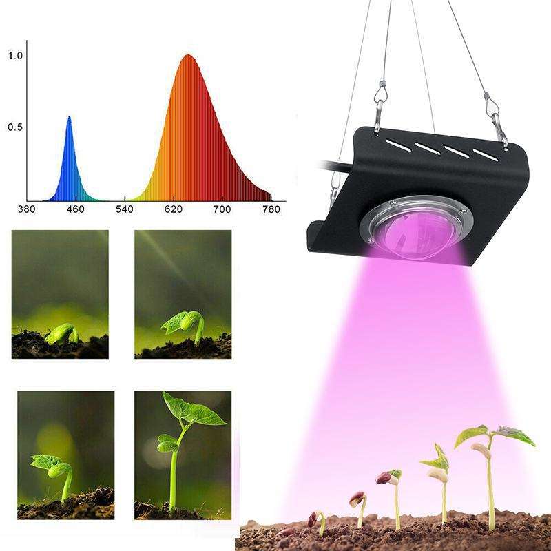 led植物灯COB全光谱50W生长灯蔬菜多肉花卉补光灯防徒长植物补光