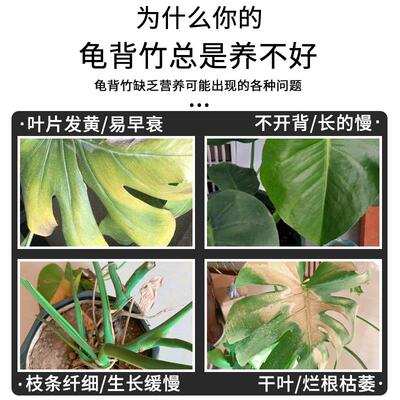 龟背竹鸭脚木常春藤肥料专用肥复合肥营养土有机鹅掌肥料盆景通用