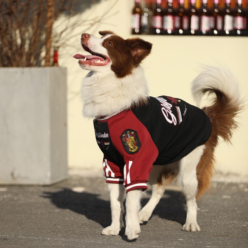 狗狗新年衣服秋冬大型犬保暖金毛拉布拉多护肘衣边牧加厚冬装衣服