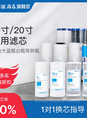 净派森小钢炮大白瓶蓝胖瓶前置过滤器10寸20寸通用滤芯PP棉复合炭