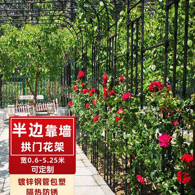 半边拱门花架爬藤架子花支架月季花卉植物支撑杆铁线莲攀爬架