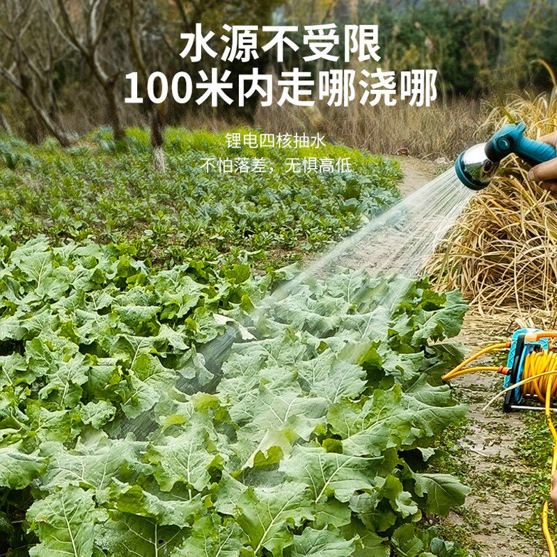 充电式抽水泵淋菜浇菜神器浇水机新型农用浇地灌溉神器家用抽水机