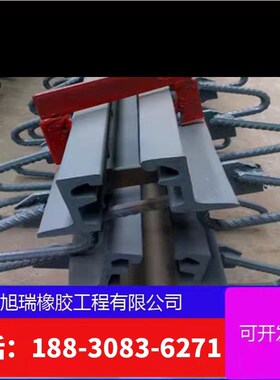 公路桥梁伸缩缝F80型C40型E160型梳齿板式毛勒伸缩缝橡胶支座