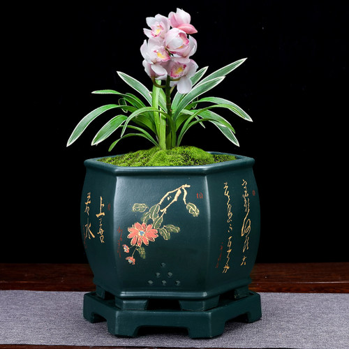 紫砂兰花盆高档手工六方陶瓷君子兰盆景盆室内桌面兰草盆带底座