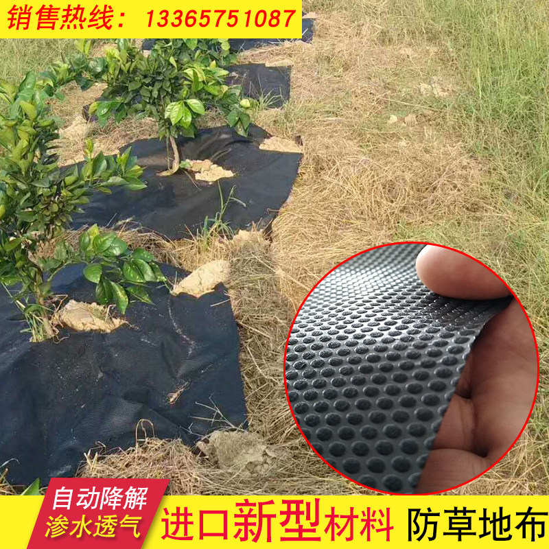 无纺布园艺地布农用防草布除草抑草地膜透气保湿生态果园果树防草