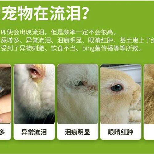 兔子眼药水兔子眼睛发红流泪流脓角膜炎眼屎多眼部清洁护理滴眼液