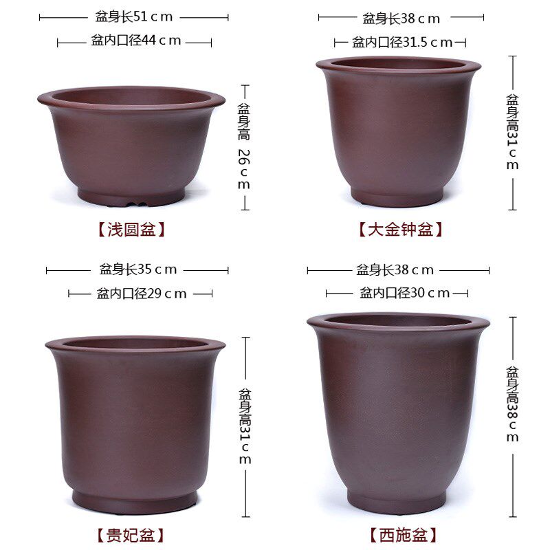 兰花君子兰宜兴紫砂花盆绿植盆栽室内中国风圆形陶瓷发财树盆景盆