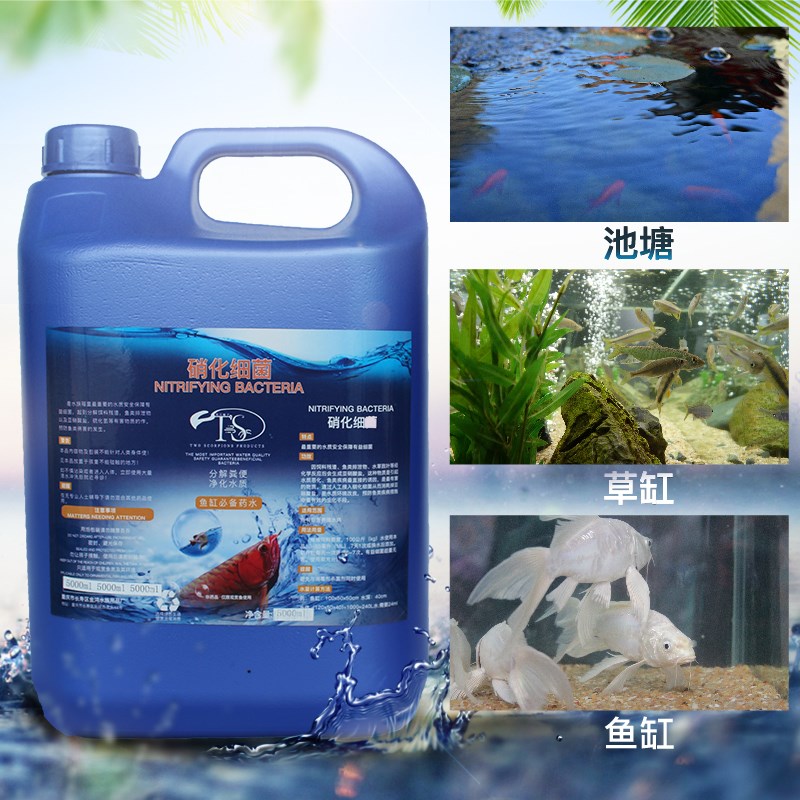 硝化细菌5L水族消化菌鱼缸锦鲤鱼池专用大桶硝化菌em原液净水剂