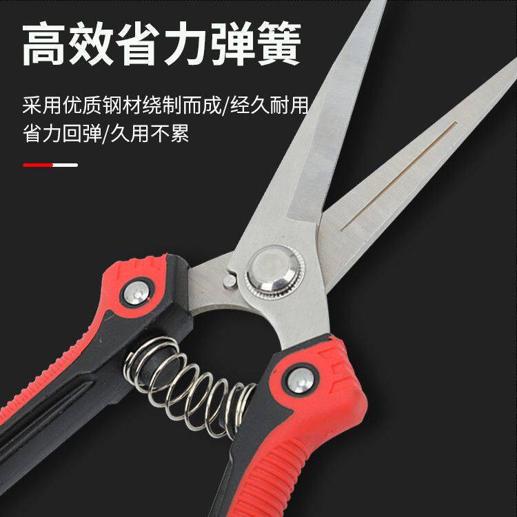 修枝剪果树修剪刀摘果神器新款盆景葡萄蔬果蔬菜园艺剪刀树枝修剪