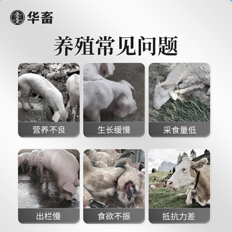 华畜动物催肥饲料添加物 猪牛羊鸡鸭促长增重配方