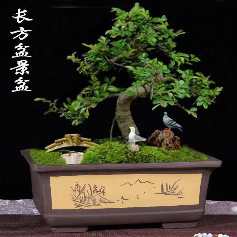 紫砂花盆长方形正方形阳台种菜盆特大号家用盆栽盆景陶瓷大花盆