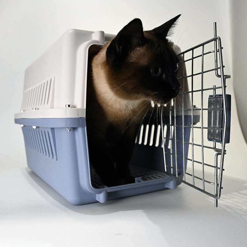 国航猫咪航空箱宠物托运箱犬用猫笼子便携手提外出猫包狗狗狗箱子
