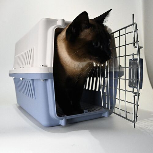 国航猫咪航空箱宠物托运箱犬用猫笼子便携手提外出猫包狗狗狗箱子