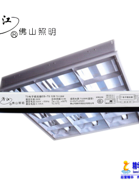 荧光灯电子整流器EB-t5老式日光灯14到28w节能超亮驱动器一拖一二