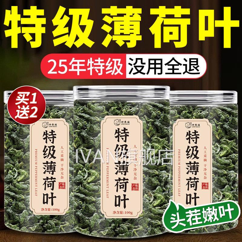 新鲜干薄荷叶可用茶清热降火解去火茶包下火中药材排食毒养肝3csI
