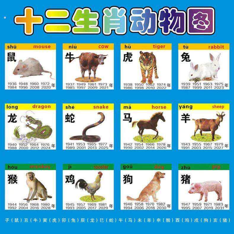 12生肖图片十二生肖动物大海报画小鼠牛虎兔龙蛇马羊猴鸡狗猪属相