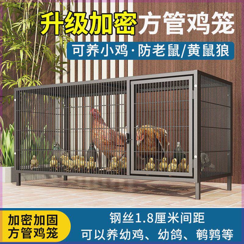 养鸡场专用鸡笼特大号加粗家用养殖笼自动滚蛋母鸡笼可折叠铁笼子