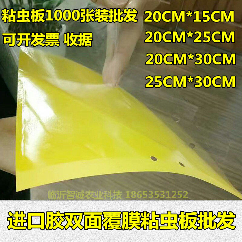 双面粘虫板诱虫板黄板蓝板果园蔬菜黏沾虫贴白粉虱蓟马果实蝇包邮