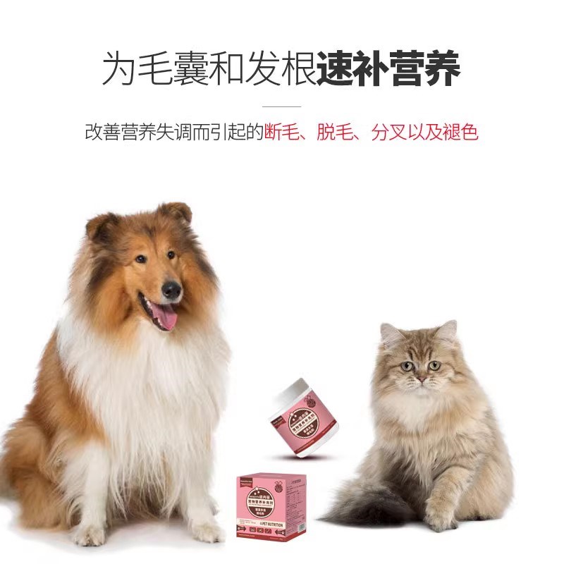倍内菲犬猫鳖蛋爆毛粉卵磷脂掉毛美毛护肤宠物猫狗毛发分叉褪色
