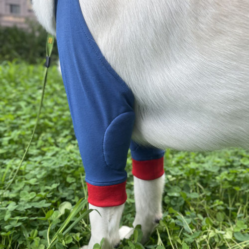 宠物护膝大型犬护肘服护腿护膝用品狗狗护肘服关节保护套拉布拉多