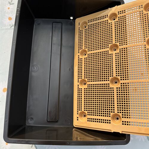 蓄水育苗盘 多肉接水整理框 园艺花卉闷养种菜播种保温浸盆叶插
