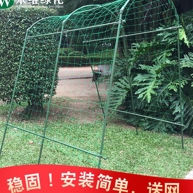 拱形葡萄架拱门爬藤架子户外百香果黄瓜丝瓜藤架植物攀爬瓜棚支架