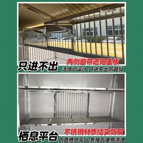 大牛大型不锈钢鸽子笼鸽子养殖繁殖专用笼专业赛鸽笼室外鸽棚鸽舍