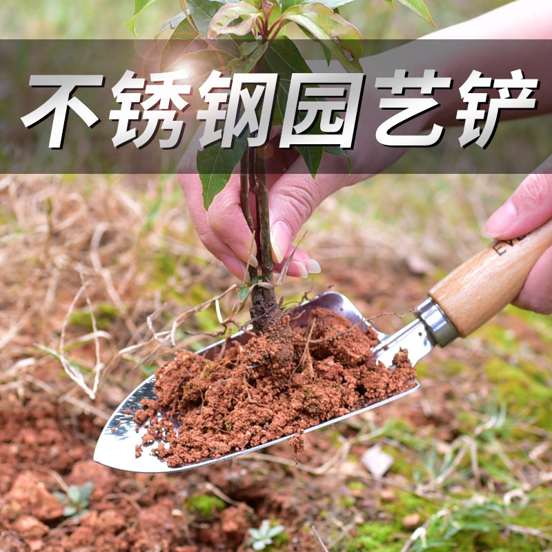 立锦园艺不锈钢小铲子园林种植工具家用栽花铁锹钢锹儿童花铲耙子图片