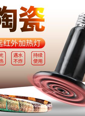宠物恒温加热灯陶瓷无光取暖芦丁鸡鹦鹉爬宠乌龟鱼缸狗笼子加热灯