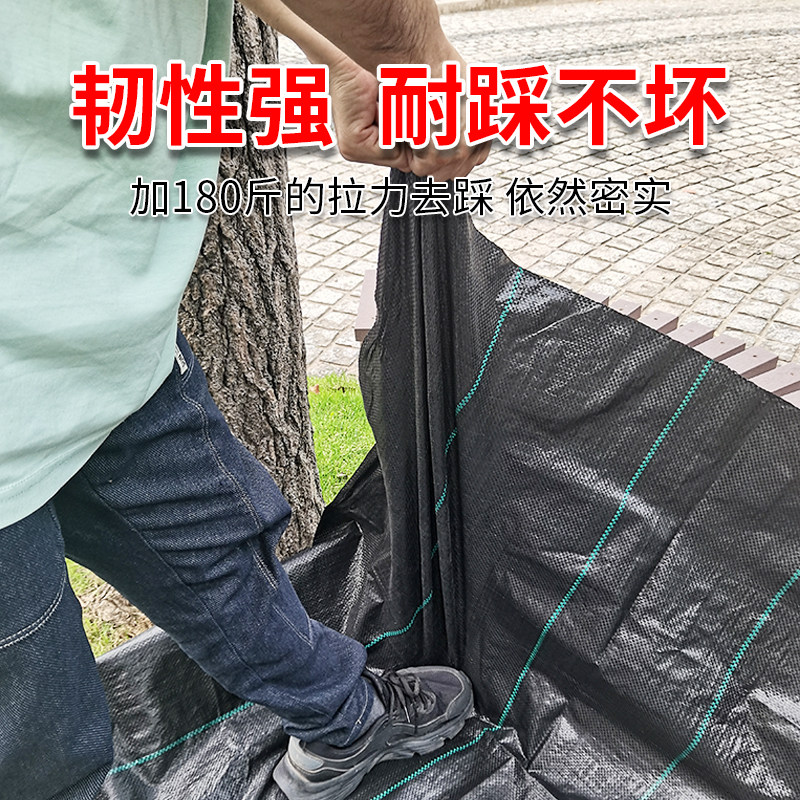 果园地布新pe防草布除草布耐用透水果树专用开孔菜地黑色除草地膜