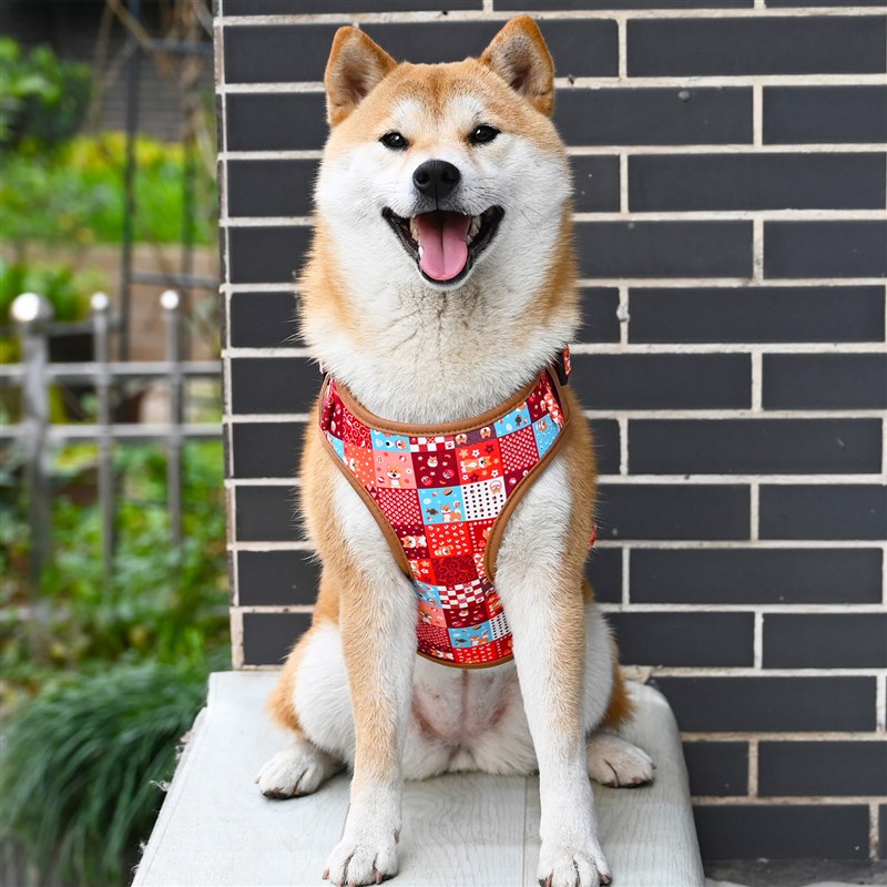 芮柴 宠物狗狗绿色唐草纹柯基法斗柴犬胸背牵引绳胸抱婴袋遛狗绳
