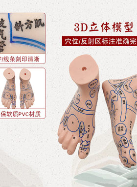 大号足底按摩穴位人体模型脚底反射区足疗店教学推拿点穴棒按摩锥