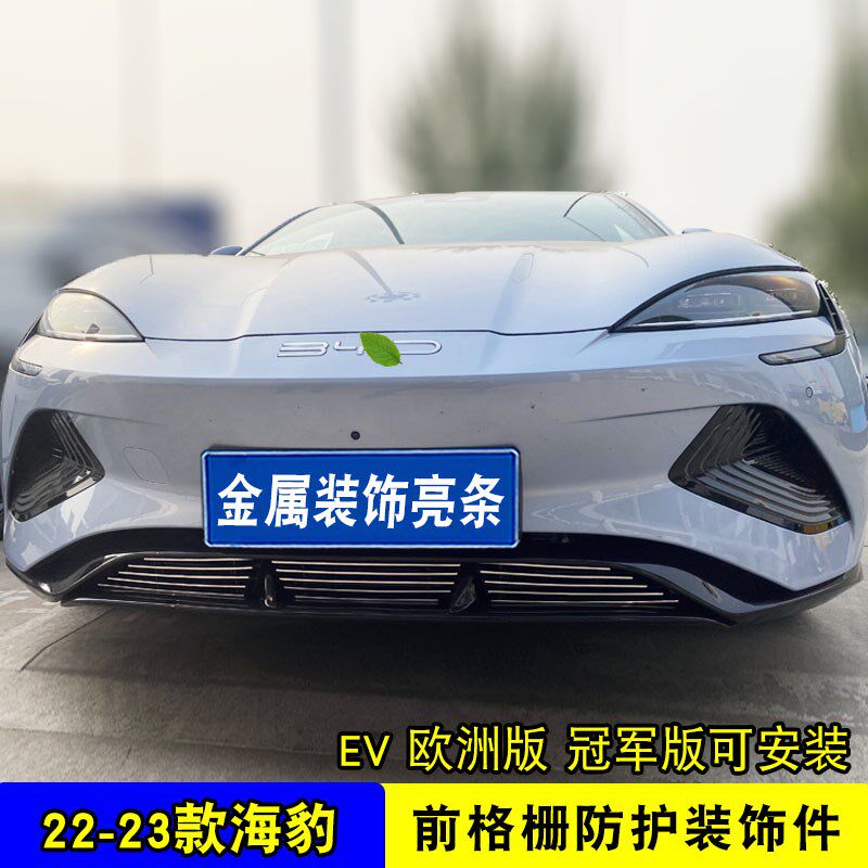 比亚迪海豹中网外观改装件前脸格栅防虫网专用汽车用品装饰条配件