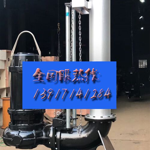 国标法兰PN6潜水电泵污水泵快速安装自动对接提升耦合装置GAK-65