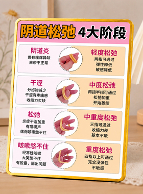 女性私密松弛分级养护科普摆件