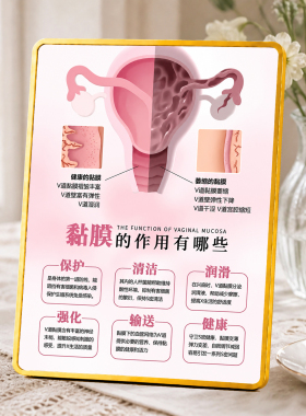女性私密黏膜科普摆牌妇科诊所美容院前台宣传装饰摆件