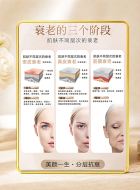 美容院皮肤管理抗衰科普展示摆件